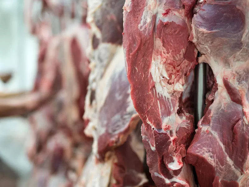 La carne subi&oacute; 75% en un a&ntilde;o y expertos advierten que los precios altos &ldquo;llegaron para quedarse&rdquo;