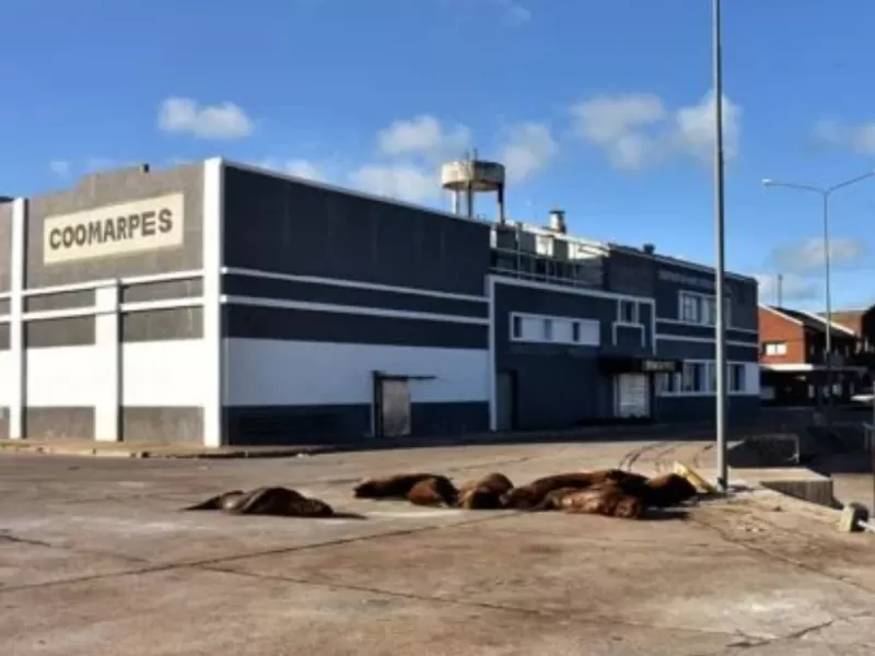En Mar del Plata alertan que la inacci&oacute;n judicial agrava un caso de contaminaci&oacute;n portuaria con d&eacute;cadas de denuncias