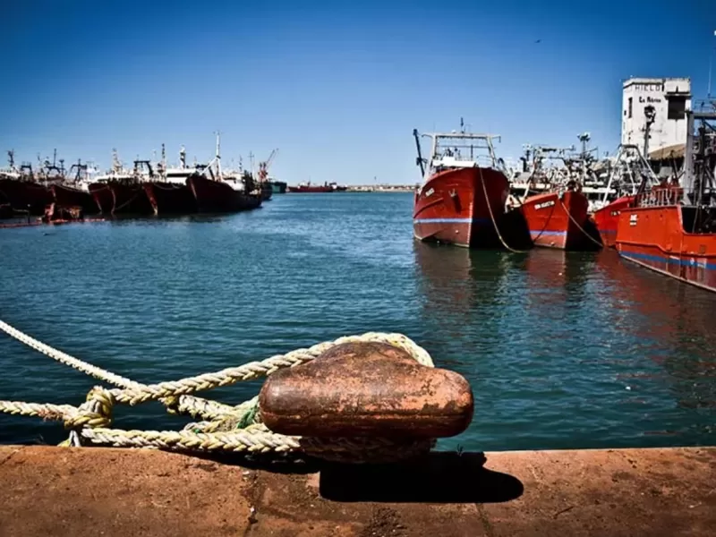 Una acusaci&oacute;n sacude a Mar del Plata al advertir que plantas pesqueras podr&iacute;an liberar contaminantes