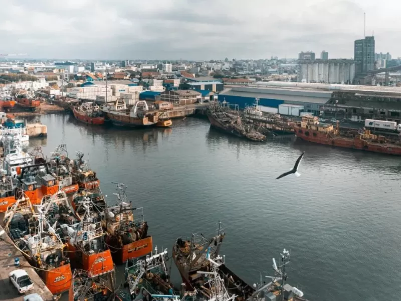 Crece la pol&eacute;mica en Mar del Plata por plantas pesqueras acusadas de liberar gases peligrosos