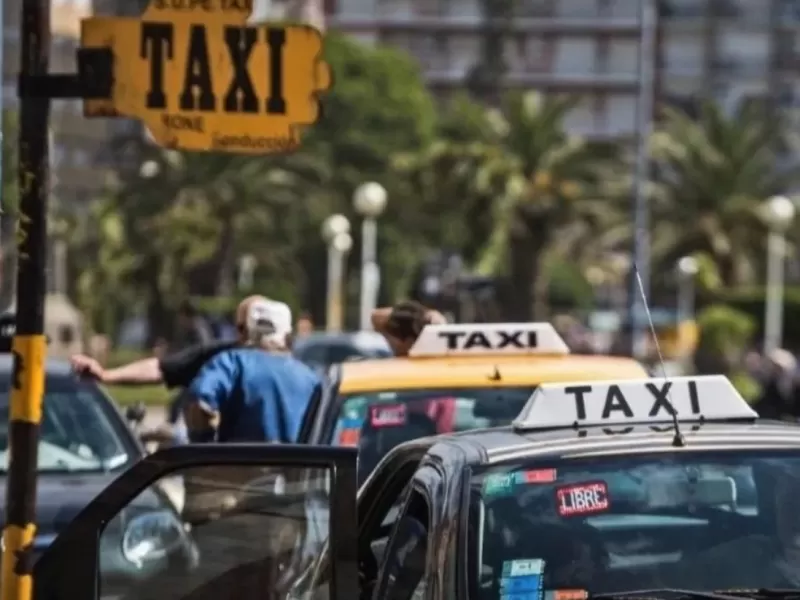Mientras Mar del Plata espera decisiones, taxistas alertan que decenas de licencias podr&iacute;an desaparecer